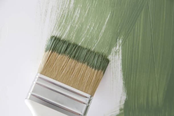 Best Eco-Friendly and Low-VOC Painting  in Donalsonville, GA